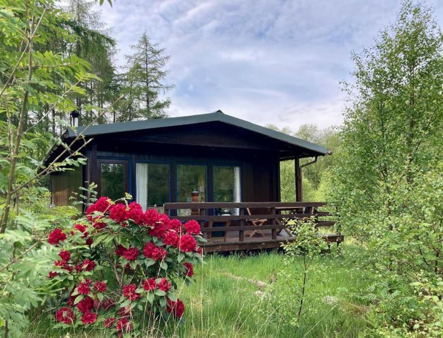 포트 윌리엄 Woodland Retreats 아파트 외부 사진